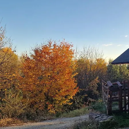 Podbucznik 5 Jalowiec Alpesi faház *