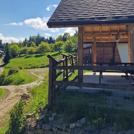 Podbucznik 5 Jalowiec Targoszow